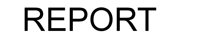 Report